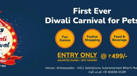 Zigly Brings India’s First-Ever Diwali Carnival to Delhi NCR!