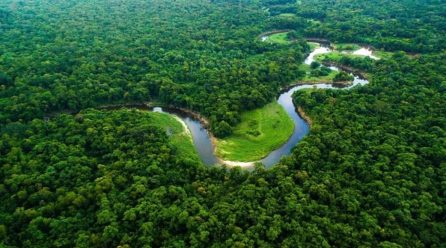 Grow Billion Trees: A Global Crusade Against Climate Change Led by Indian Army Veterans