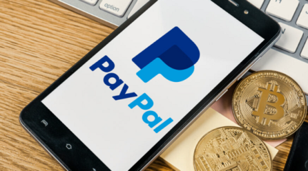 PayPal Unveils Stablecoin Linked to US Dollar, Driving Up Share Value