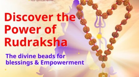 The Ultimate Source for Authentic Rudraksha is now Online | Discover www.ekarudraksha.com with 25 years of Expertise